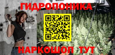 прущие грибы Краснокаменск