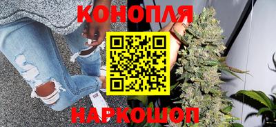 прущие грибы Краснокаменск