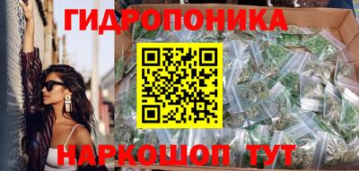 прущие грибы Краснокаменск