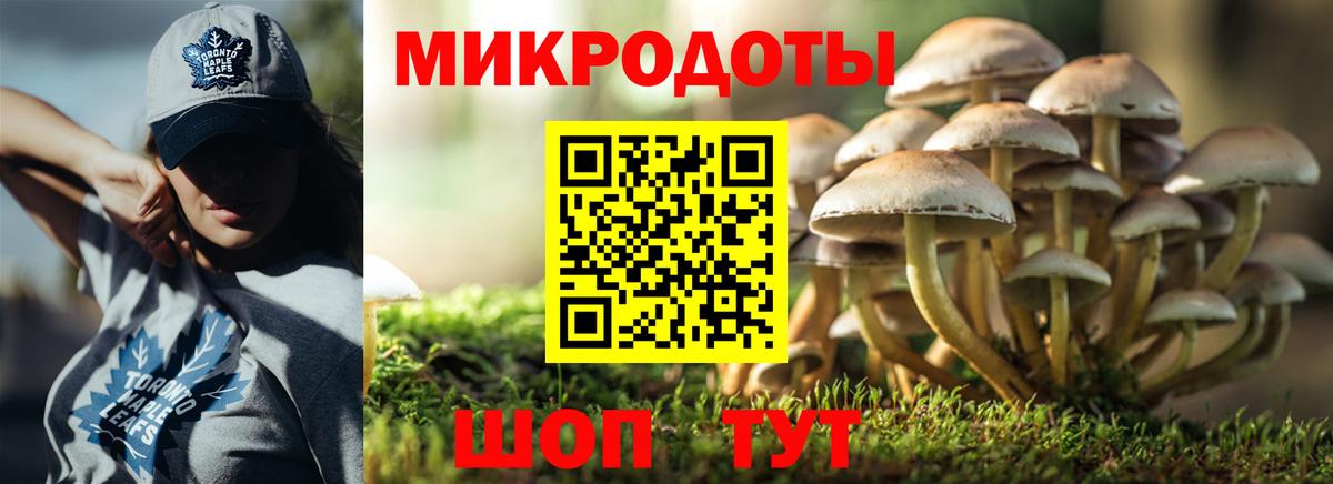 Галлюциногенные грибы мухоморы  наркота  Вход с VPN  Зеленодольск  Псилоцибиновые грибы мицелий 